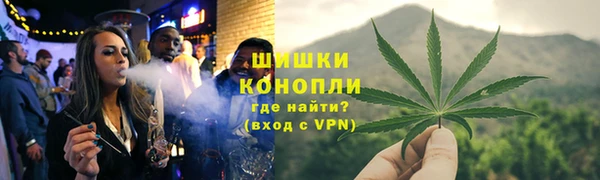 МДПВ Липки