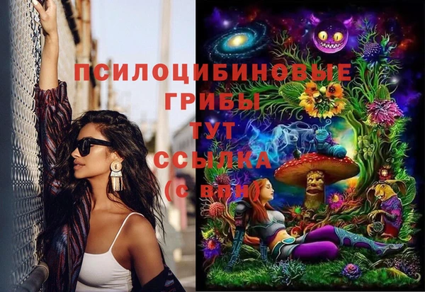 ешки Ладушкин
