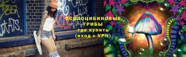 МДПВ Липки