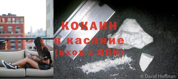 МДПВ Липки
