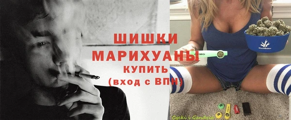 МДПВ Липки
