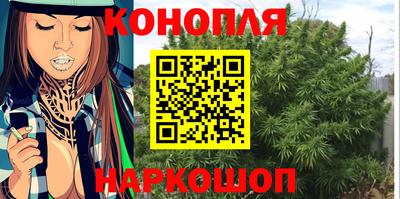 прущие грибы Ирбит
