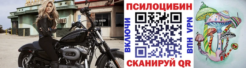 купить наркотики сайты  Спасск-Дальний  Псилоцибиновые грибы прущие грибы 