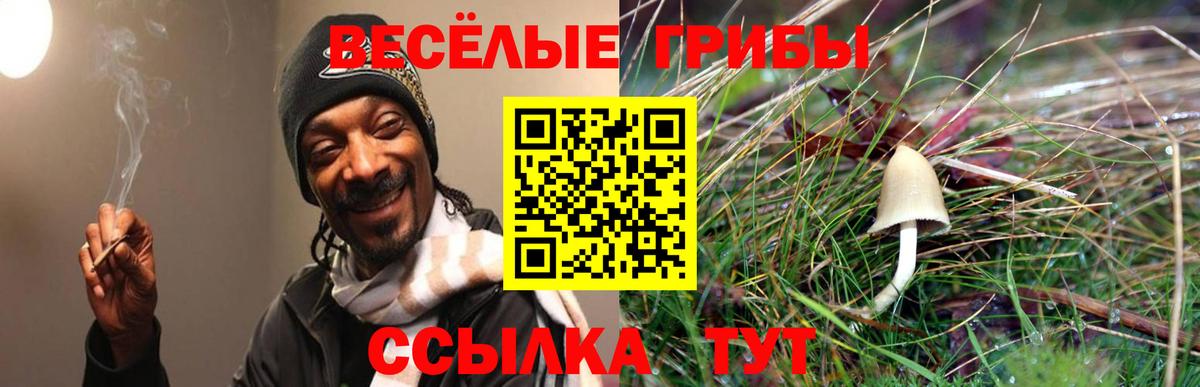 Псилоцибиновые грибы Cubensis Спасск-Дальний