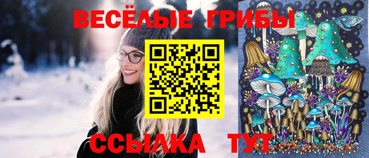 Спасск-Дальний  Псилоцибиновые грибы мухоморы  Вход с VPN 